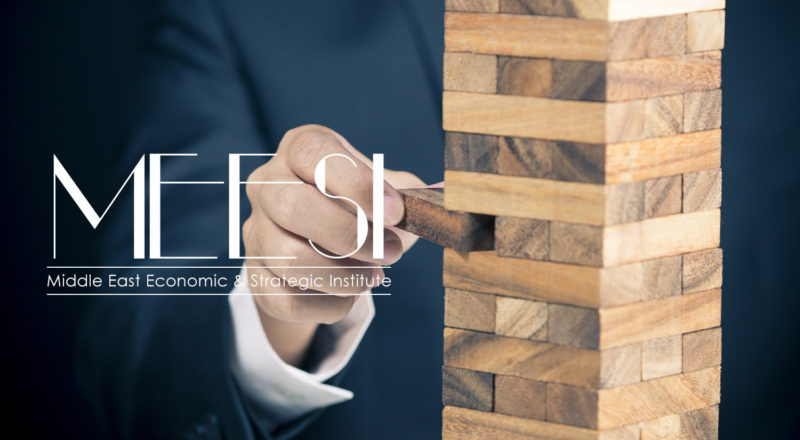 Middle East Economic & Strategic Institute Logo