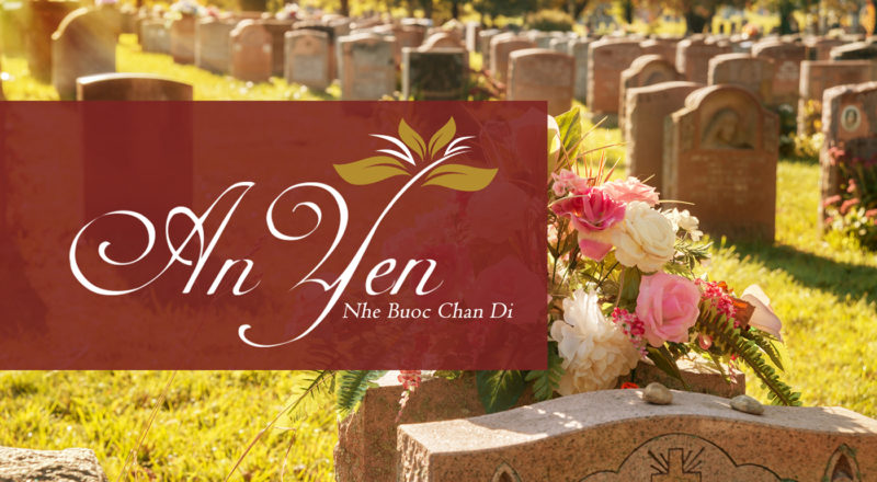 Roses in a cemetery with headstones